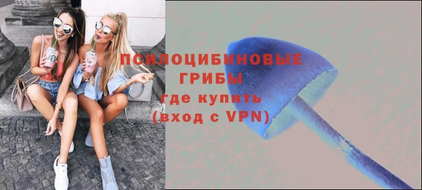 ECSTASY Баксан