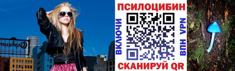 цены наркотик  kraken как войти  Галлюциногенные грибы Psilocybe  Вольск 